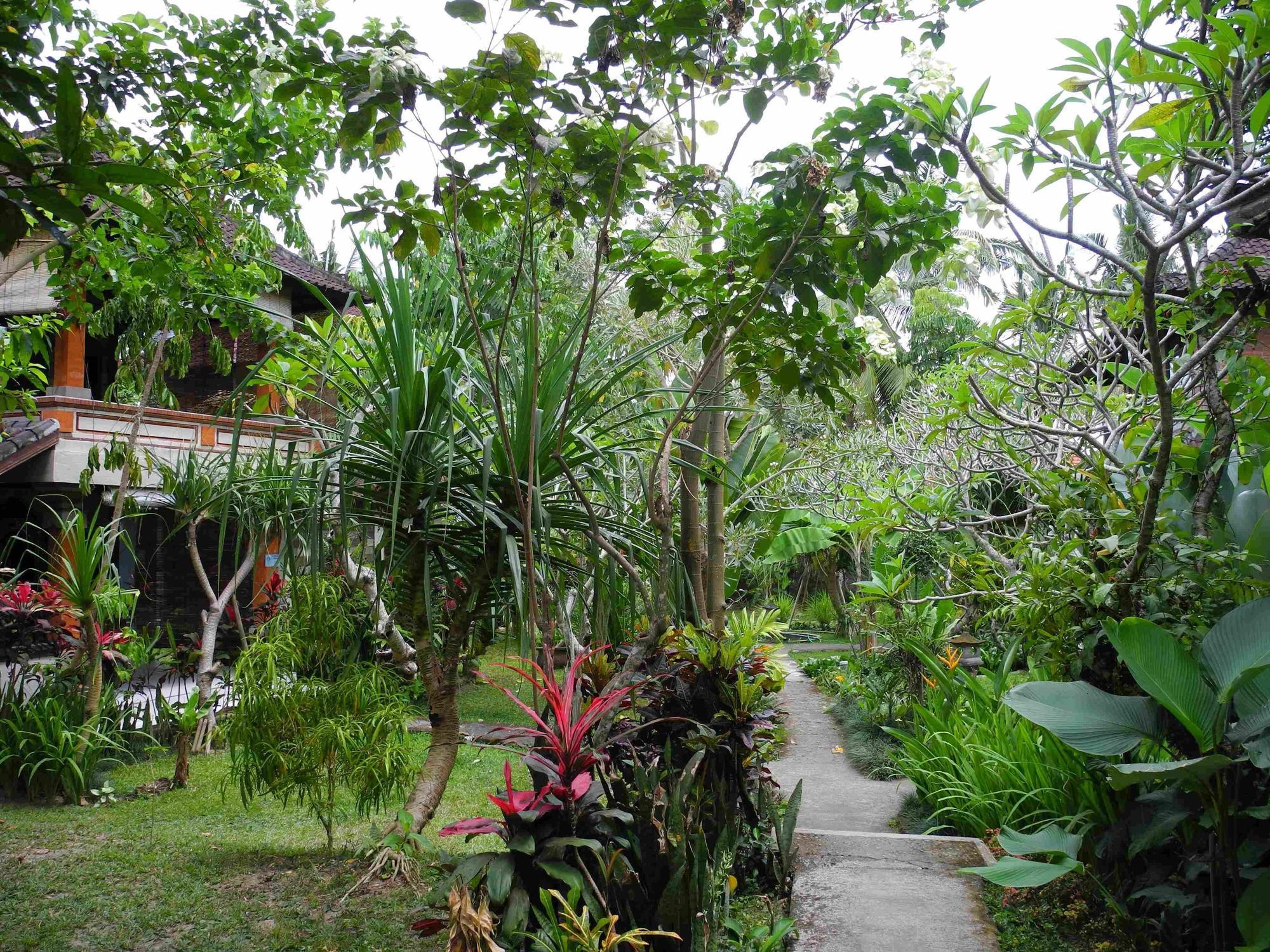 Recep Bungalow Ubud Zewnętrze zdjęcie