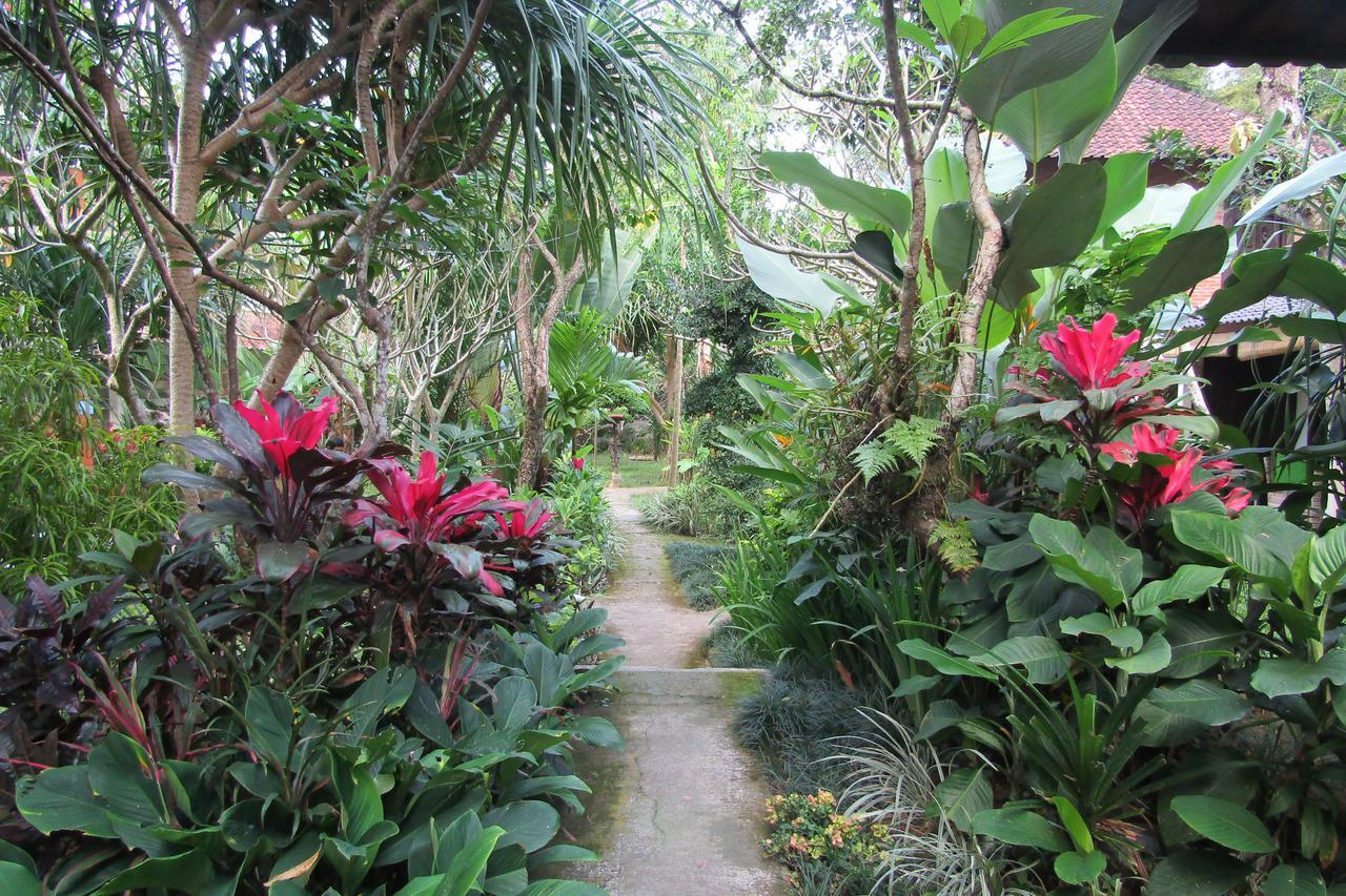 Recep Bungalow Ubud Zewnętrze zdjęcie